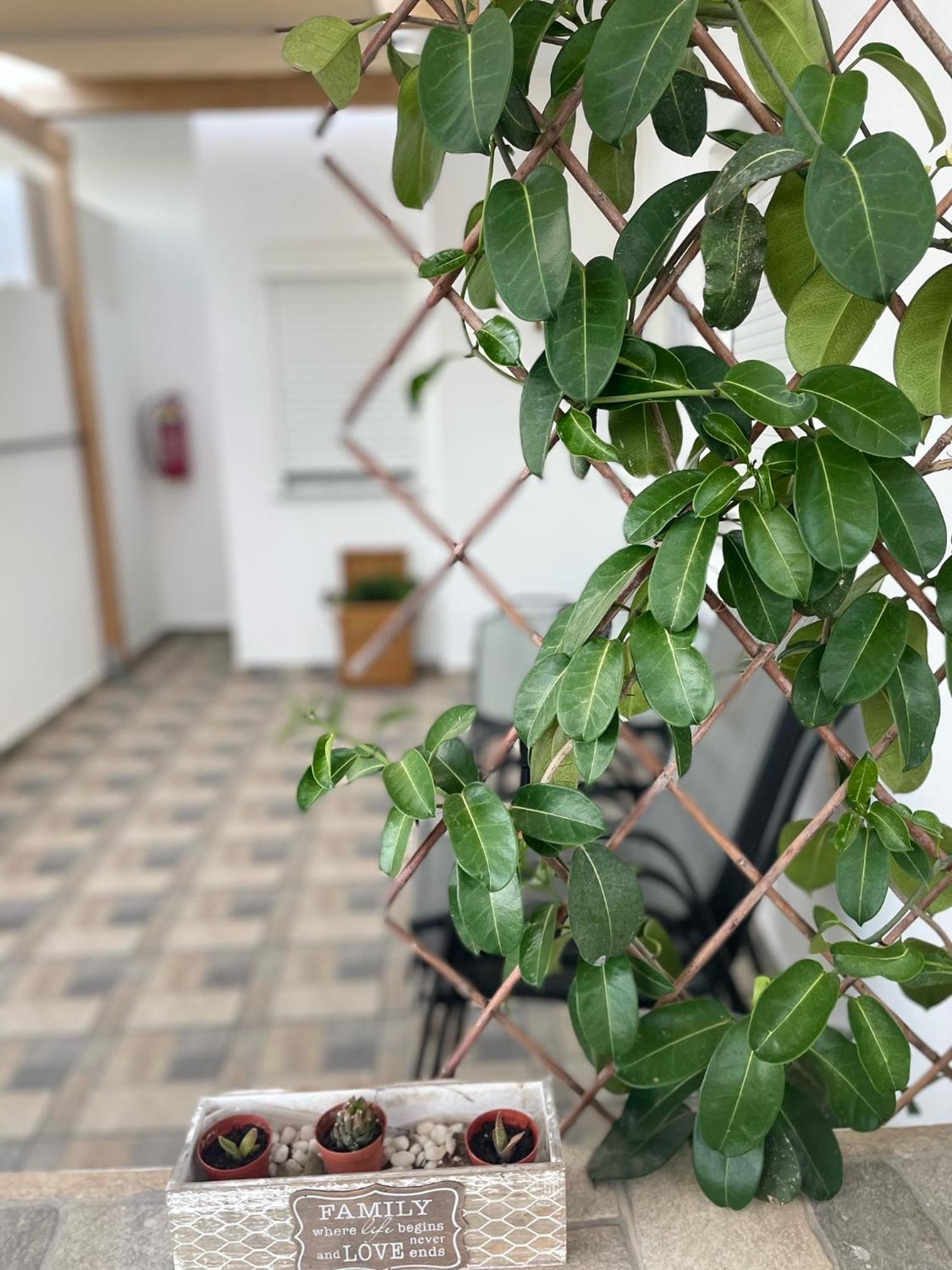 Blue Horizon Apartman Ahliá Kültér fotó